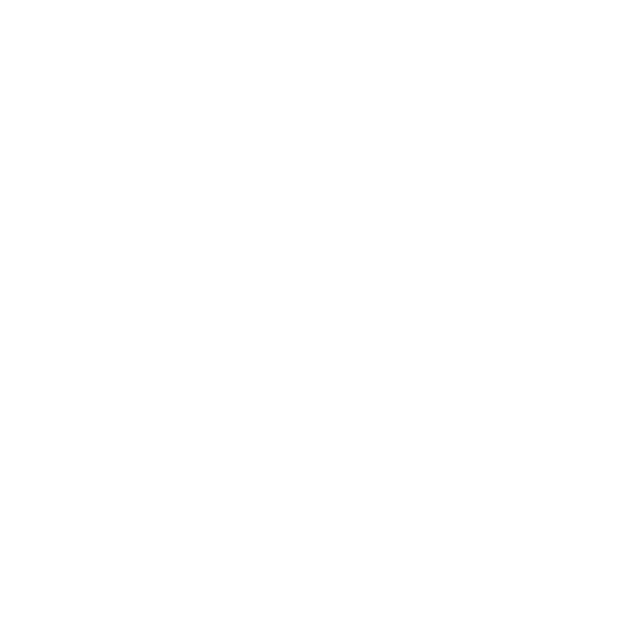 Entertainment Systems Group